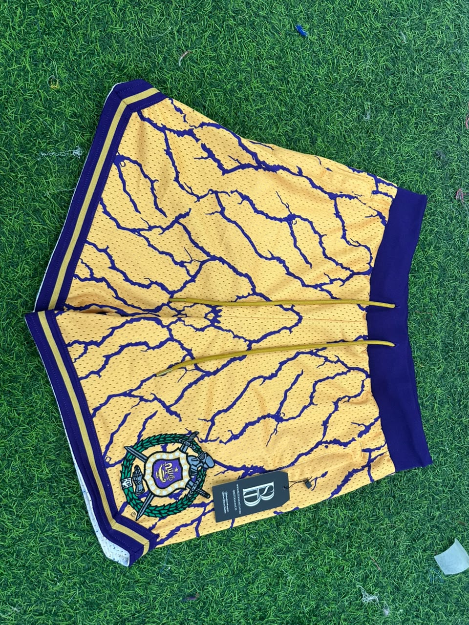 Signature  Lightning Shorts